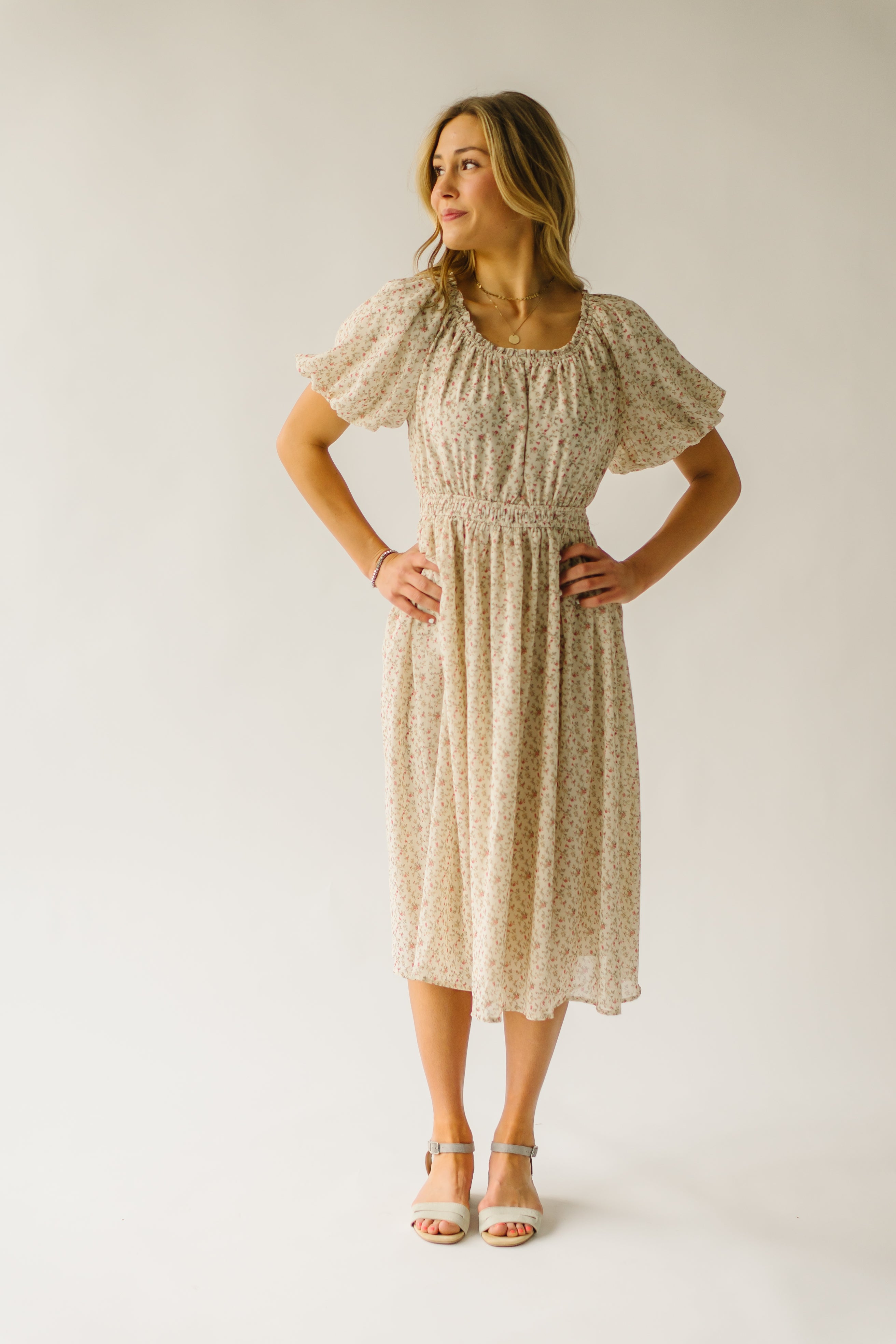 The Branson Printed Chiffon Dress in Ivory